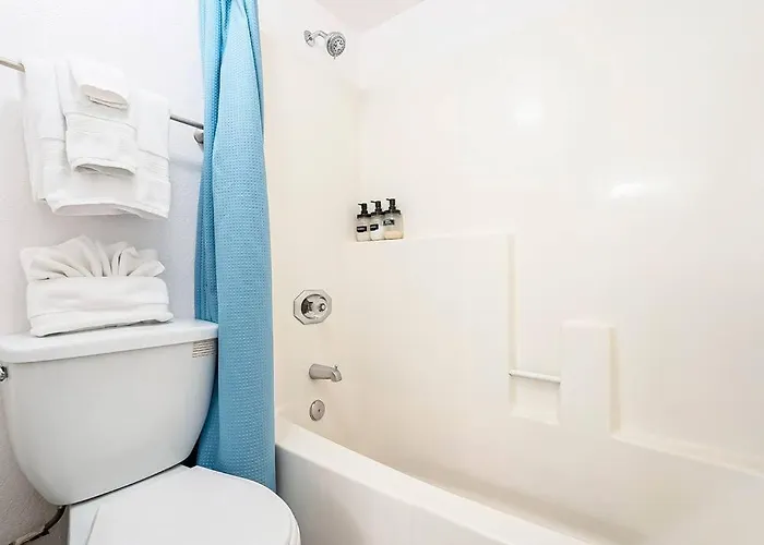 Apartment Bright & Cozy 1bd Near Uofa, Umc W Pool, Parking - Summer Rates! Tucson